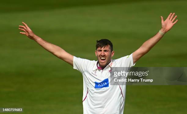 Craig Overton of Somerset unsuccessfully appeals for the LBW of Will Rhodes warduring Day Three of the LV= Insurance County Championship Division 1...