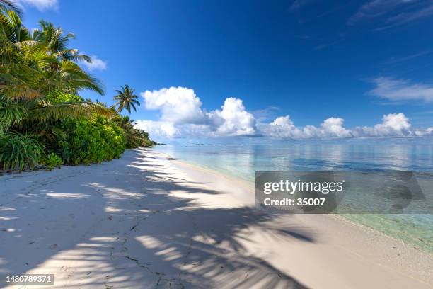 heaven on earth, maldives - atoll stock pictures, royalty-free photos & images