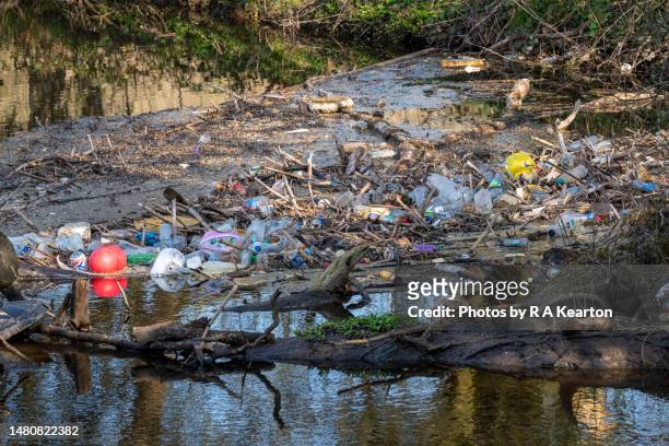 plastic rubbish trapped in branches by the side of the river etherow, stockport, england - junk stock pictures, royalty-free photos & images