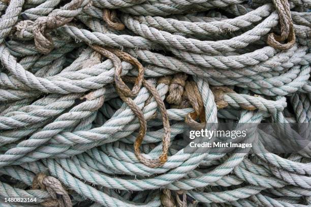 Pickled Rope 2,116 Rope Pile Stock Photos, High-Res Pictures, and Images - Getty Images