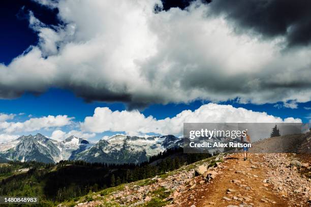 Salt White Ridge White Ridge Provincial Park Photos and Premium High Res Pictures ...