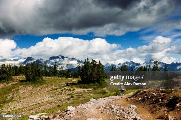 Salt White Ridge White Ridge Provincial Park Photos and Premium High Res Pictures ...