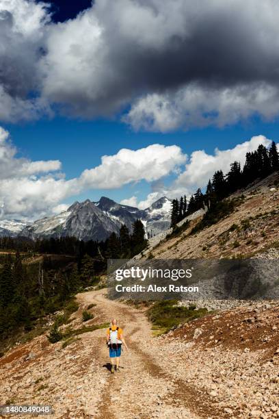 Salt White Ridge White Ridge Provincial Park Photos and Premium High Res Pictures ...