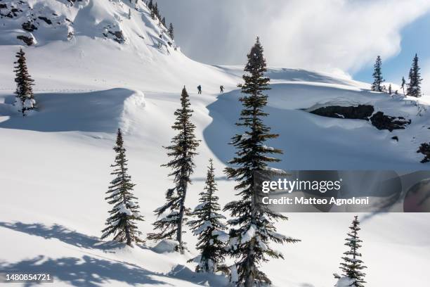 backcountry skiing in the monashee mountains - off piste stock pictures, royalty-free photos & images