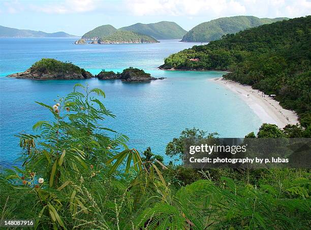 St. John 3,347 St John Virgin Islands Stock Photos, High-Res Pictures, and ...