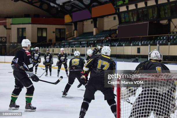 ice hockey, team sports and men at stadium for competition, game or training for skill, energy and teamwork in uniform for action. professional athlete males together for sport, skating and fitness - professional hockey stock pictures, royalty-free photos & images