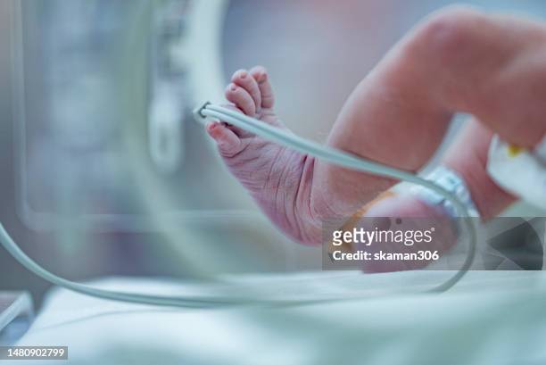 selective focus asian newborn foot with pulse sensor for monitor and moving in the incubator the first day in the world - 新生児集中治療室 ストックフォトと画像