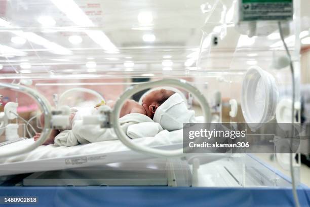 asian newborn lying down crying on crib in the incubator during the first day of life - maternity ward stock-fotos und bilder