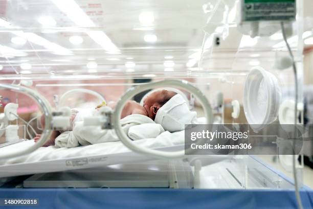 asian newborn lying down crying on crib in the incubator during the first day of life - ふ卵器 ストックフォトと画像