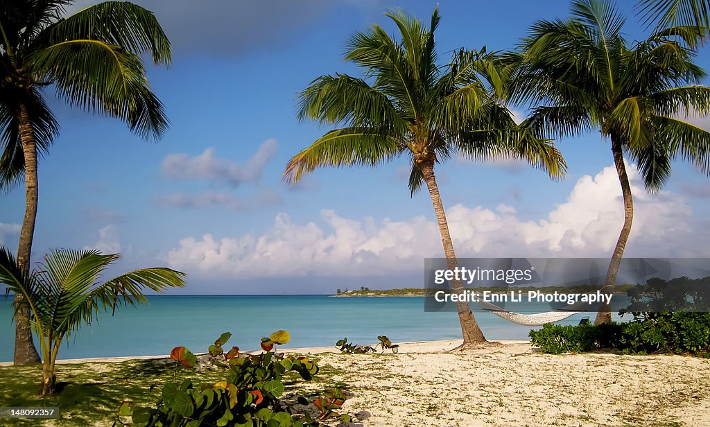 Hammock between two palm trees