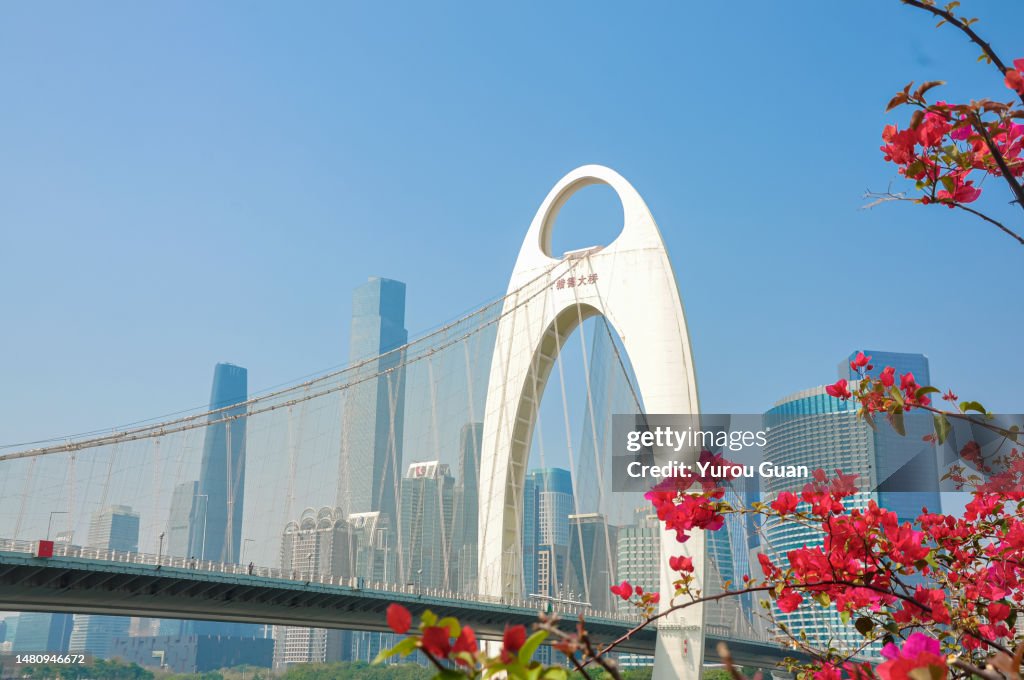 Guangzhou Liede bridge and Guangzhou Tianhe Central Business District,South China’s Guangdong Province.