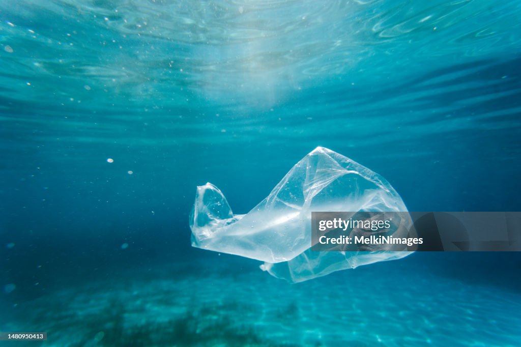 Contamination Of The Oceans , Result Of A Human Activities.