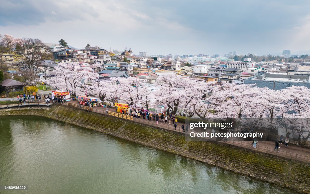 Cherry Blossom festival during spring in Morioka, Iwate
