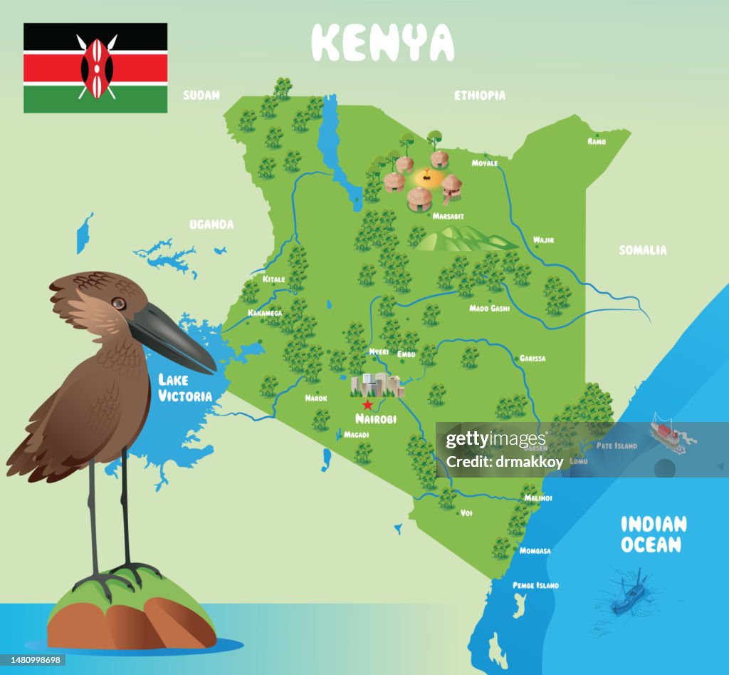 Hamerkop and Kenya Maps