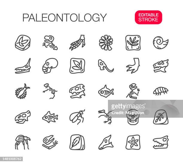 paläontologie dünne linie symbole editierbare kontur setzen - animal skeleton stock-grafiken, -clipart, -cartoons und -symbole