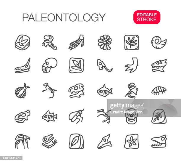 ilustraciones, imágenes clip art, dibujos animados e iconos de stock de paleontología iconos de línea fina establecer trazo editable - paleontología