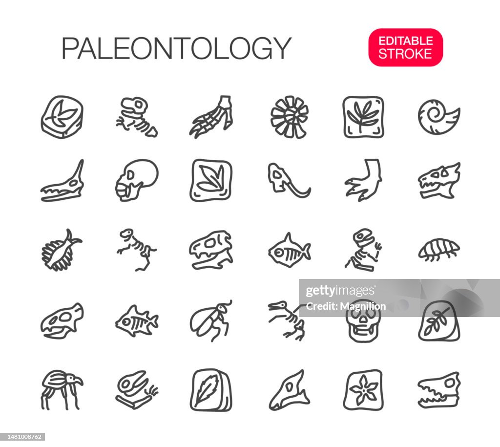 Paleontology Thin Line Icons Set Editable Stroke