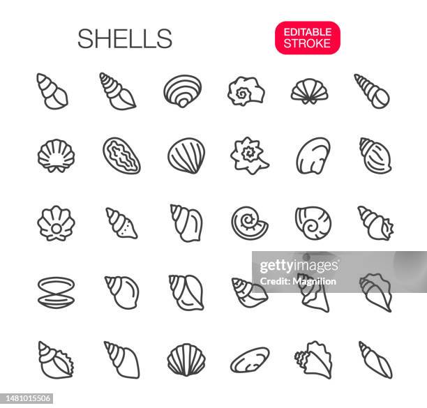 ilustraciones, imágenes clip art, dibujos animados e iconos de stock de shells iconos de línea fina establecer trazo editable - caracola concha de mar