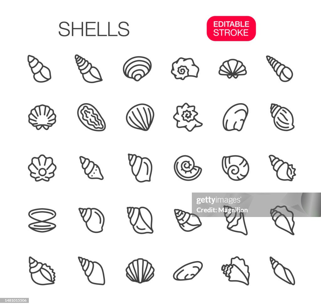 Shells Thin Line Icons Set Editable Stroke