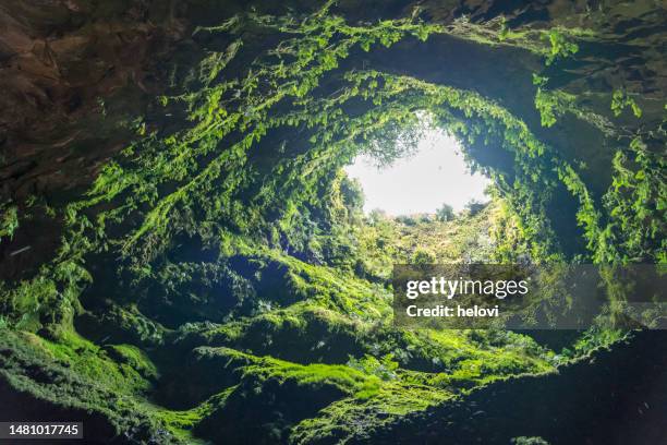 algar do carvao cave at terceira island, azores - ilha terceira imagens e fotografias de stock