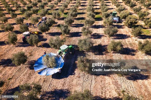 Li Maria Country 17,666 Maria Country Stock Photos, High-Res Pictures, and Images ...