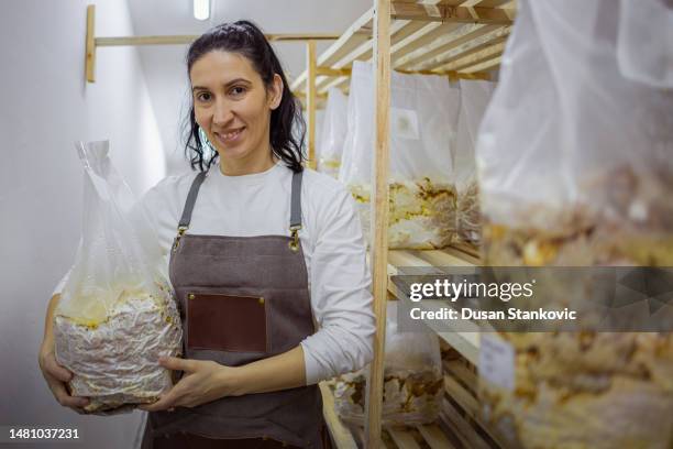 female mushroom harvester - biochemist stock pictures, royalty-free photos & images