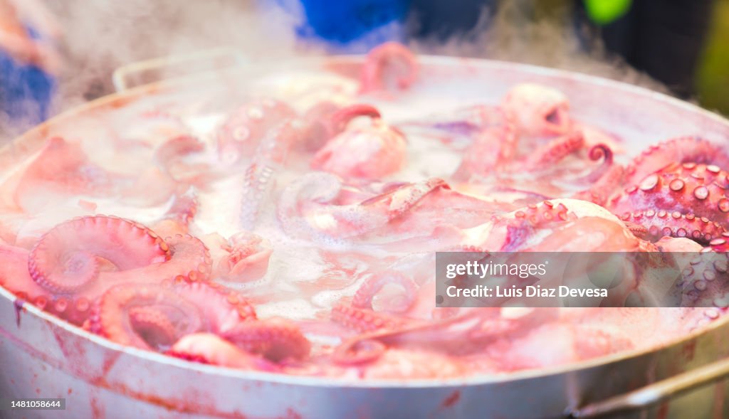 Cooking octopus
