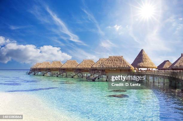 tropische bungalows - bora bora stock-fotos und bilder