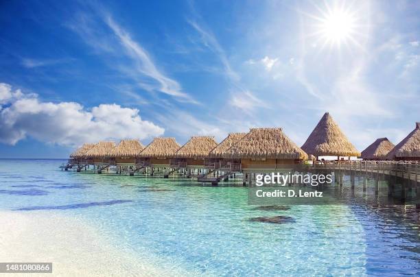 tropical bungalows - moorea stock pictures, royalty-free photos & images
