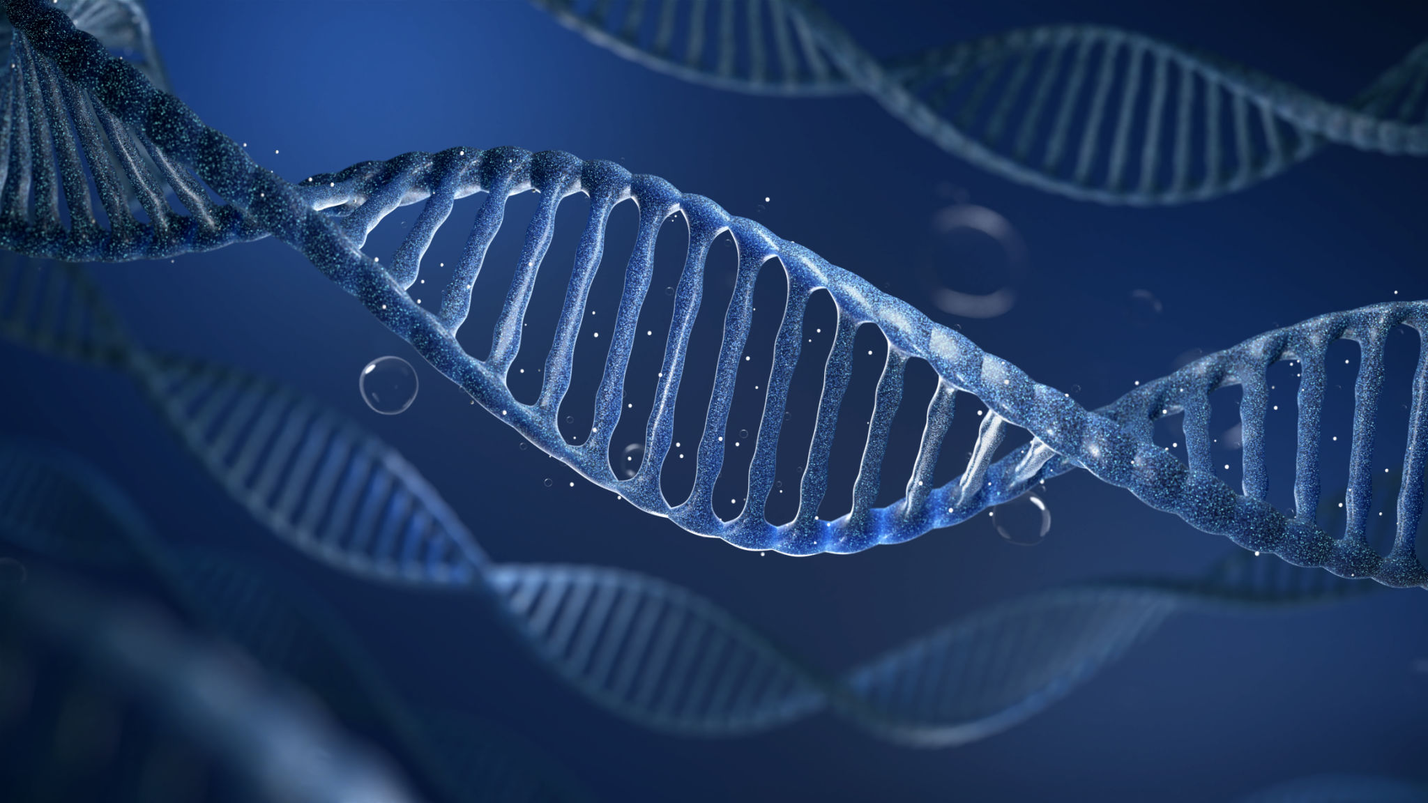 longevity research