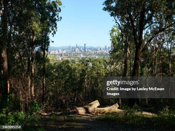 picturesque view of brisbane city skyline through an avenue of eucalypt trees from whites hill nature reserve - brisbane skyline stock pictures, royalty-free photos & images