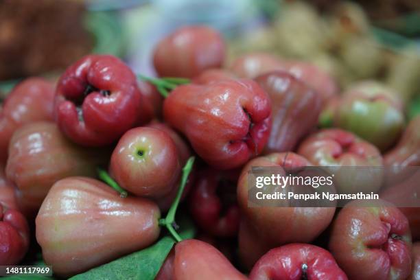 rose apple myrtaceae sweet fruit - water apples stock pictures, royalty-free photos & images