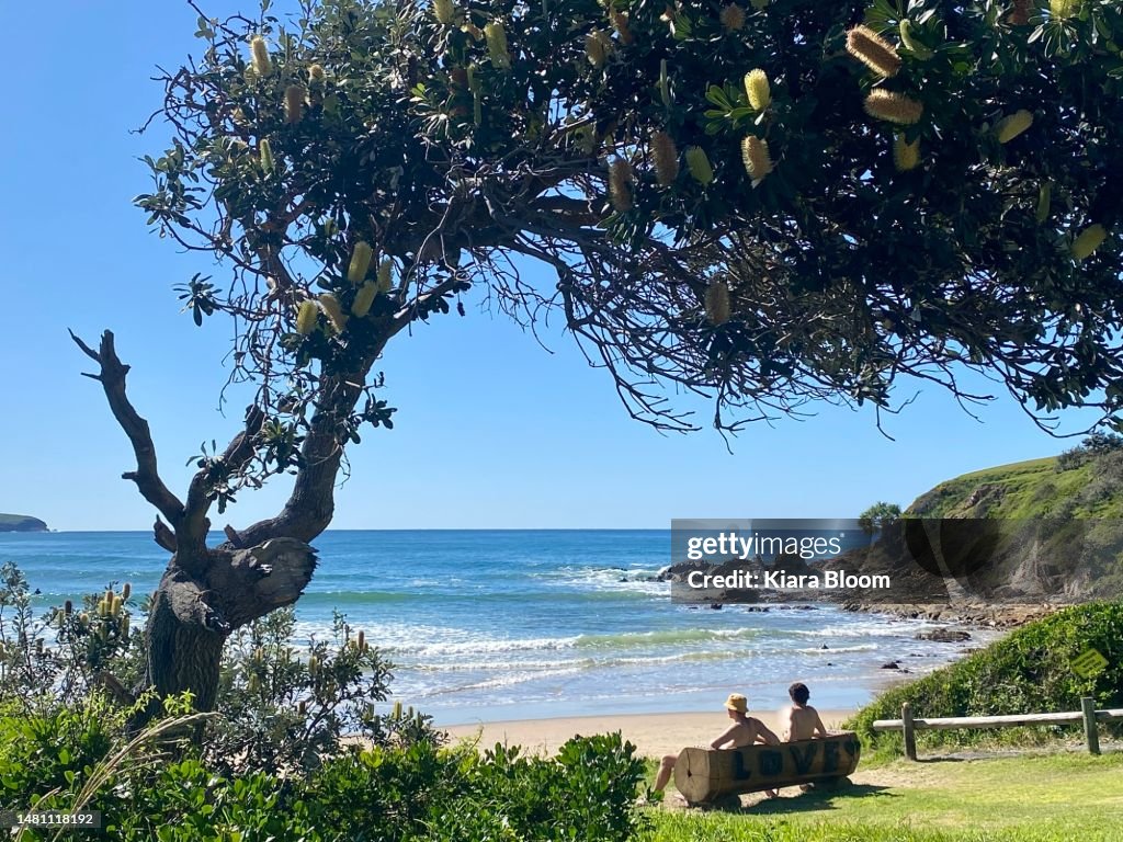 Watching Ocean Waves on Bench