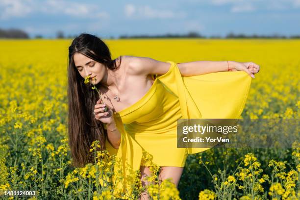 lovely young woman in yellow dress standing in a sunny field full of yellow canola - steppe stockfoto's en -beelden