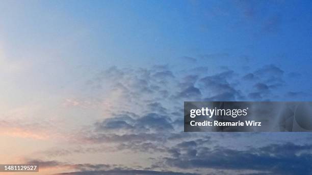 sky above early morning, darker clouds, color gradient - altocumulus stock pictures, royalty-free photos & images