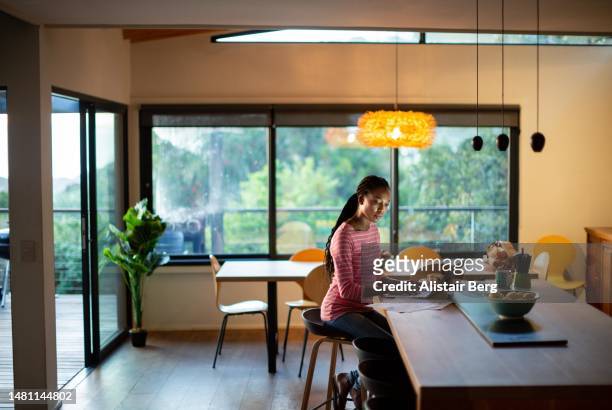 woman working on her laptop at home - south africa economy stock pictures, royalty-free photos & images