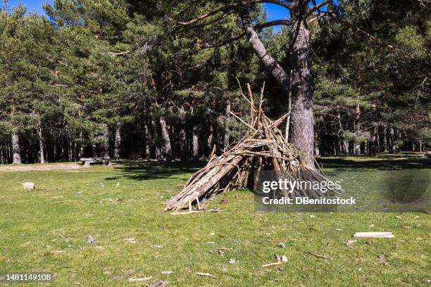 shelter made of branches in the clearing of a forest, in the midst of trees and vegetation. camping, bivouac, outdoors, adventure, lost and survival concept. - sheltering stock pictures, royalty-free photos & images