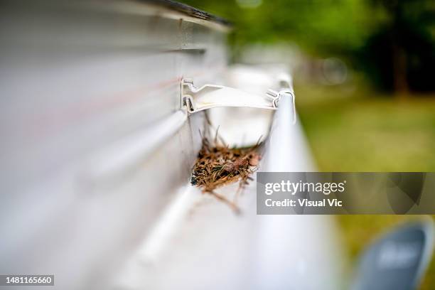 gutter cleaning horizontal - rinnstein stock-fotos und bilder