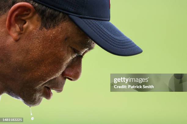 Sweat drips from the chin of Tiger Woods of the United States as he plays during the first round of the 2023 Masters Tournament at Augusta National...