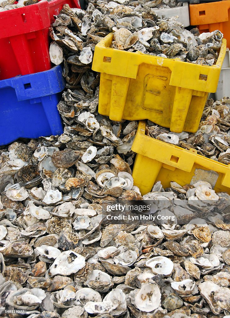 Oyster shells and coloured plastic boxeson a beach