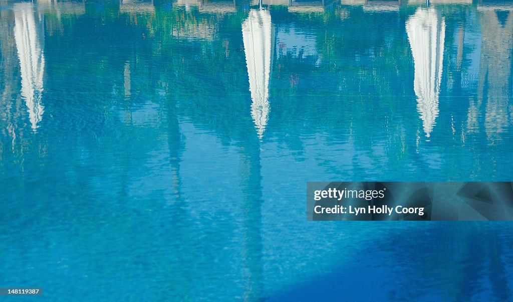 Parasols and trees reflected in a swimming pool