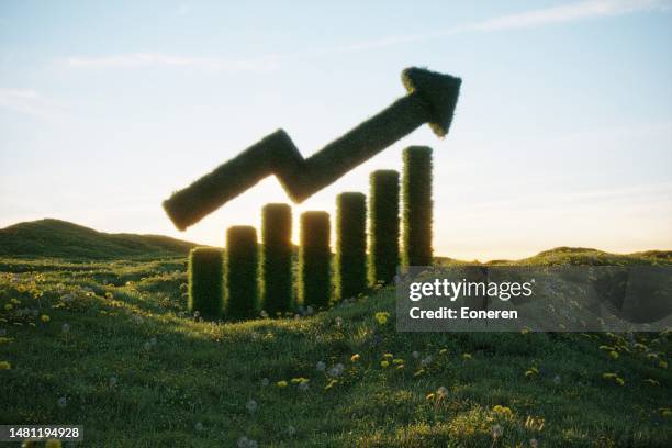 sustainable growth chart - sustainable investment stock pictures, royalty-free photos & images