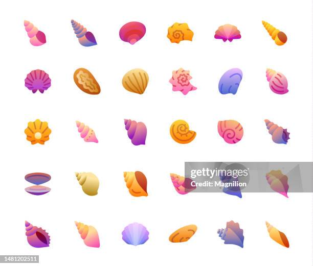 ilustrações de stock, clip art, desenhos animados e ícones de seashells vibrant color gradient icons set - concha do mar