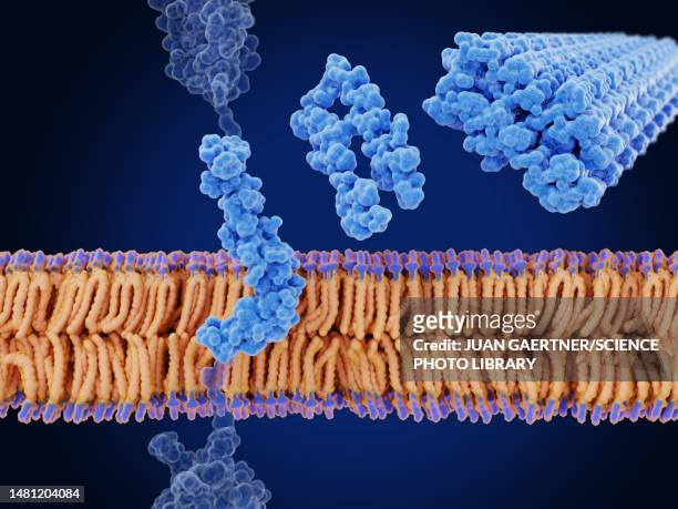 amyloid beta peptide, illustration - cell structure stock-grafiken, -clipart, -cartoons und -symbole