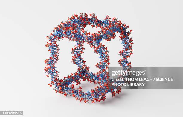 Seeman Dna Nadrian Seeman Photos and Premium High Res Pictures - Getty Images