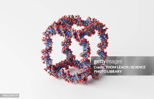 Seeman Dna Nadrian Seeman Photos and Premium High Res Pictures - Getty Images