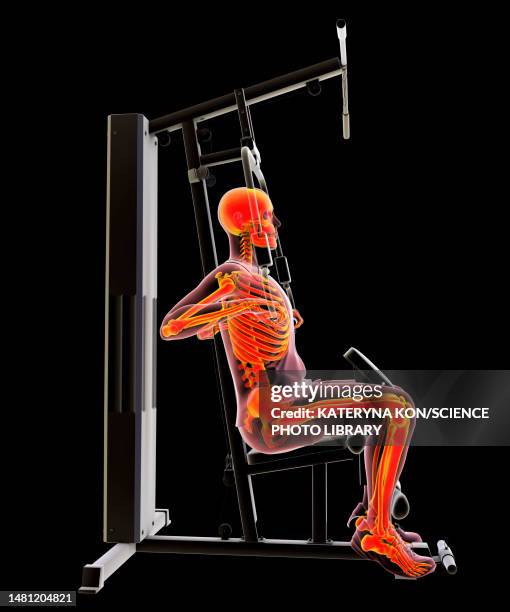 skeleton training on a hammer strength machine, illustration - man black background stock illustrations