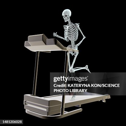 Skeleton Running Machine Skeleton Running On A Treadmill Illustration High-Res Vector Graphic ...
