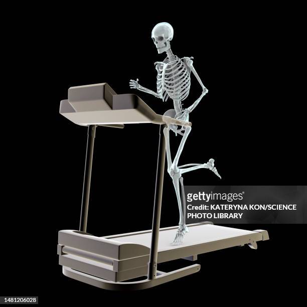 skeleton running on a treadmill, illustration - treadmill stock illustrations