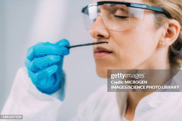 sense of smell research, conceptual image - human nose stock pictures, royalty-free photos & images